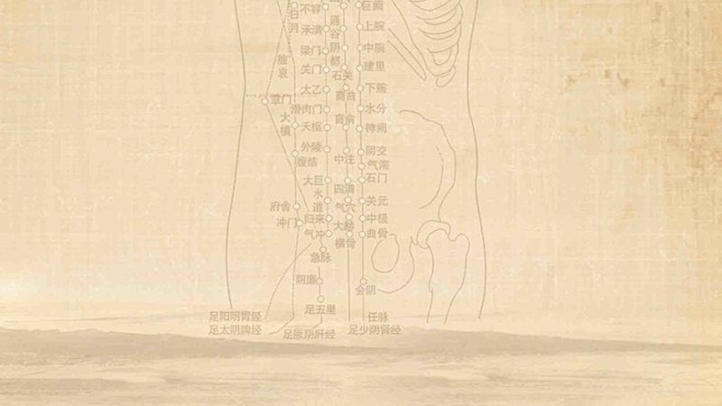 小标题：行业现状探析